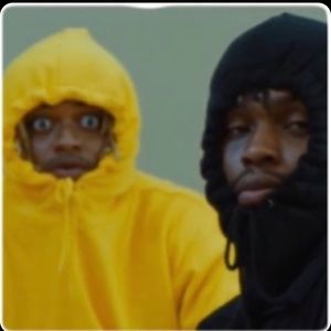 Meet your Posher, Joey